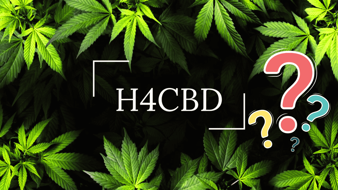 Cos'è l'H4-CBD?